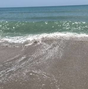 Meet your Posher, Ava